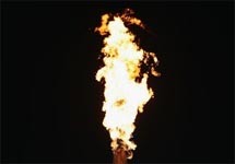 Олимпийский огонь. Фото с официального сайта Игр