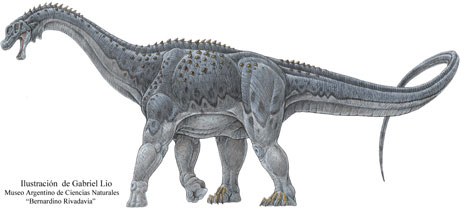 Гигантский Puertasaurus reuili, реконструкция. Иллюстрация Gabriel Lio/Fernando Novas с сайта National Geographic
