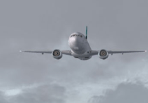    Boeing 737  Ethiopian Airlines