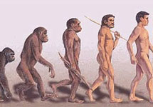 Эволюция человека. Иллюстрация с сайта restena.lu