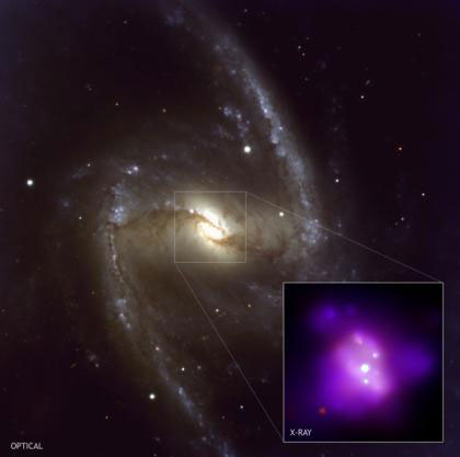 NGC 1365 в видимом свете и в рентгеновских лучах. Условные цвета соответствуют: пурпурный (фиолетовый) - 0,2-1 килоэлектрон-вольт, желтый - 1-2 кэВ, голубой - 2-7 кэВ. Рентгеновский диапазон: NASA/CXC/CfA/INAF/Risaliti. Оптический диапазон: ESO/VLT. С сайта chandra.harvard.edu