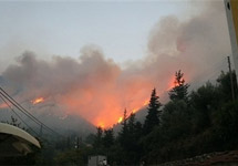Лесной пожар в Греции. Фото АР