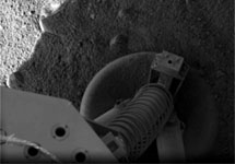 Фрагмент поверхности Марса. На снимке видна часть аппарата ''Феникс''. Съемки NASA