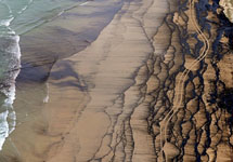 Нефтяное пятно в Луизиане. Фото с сайта www.etoday.ru