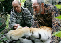 Путин и тигрица. Фото с сайта www.mger2020.ru