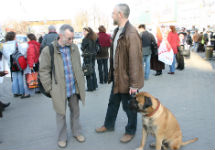 Лев Рубинштейн, Сергей Гандлевский и собака. Фото Граней.Ру