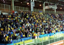 Украинский сектор на матче в Борисове. Фото: by.tribuna.com