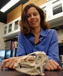 Лора Порро с черепом гетеродонтозавра. Journal of Vertebrate Paleontology/Natural History Museum с сайта LiveScience