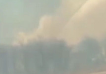 Лесной пожар в Надеждинском районе Приморья. Кадр видео "Примамедиа"