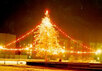 Новогодняя елка. Фото с сайта mozyr.tut.by