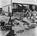 6. Оружие боевой организации "Хагана", хранившееся в кибуце. 1946г. Фото Дэвид Д. Дункан