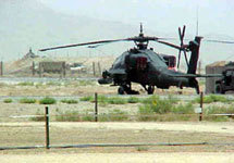 Black Hawk. Фото с сайта www.outbacksteakhouse.com