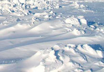 Северный полюс. Фото с сайта www.geadventures.com