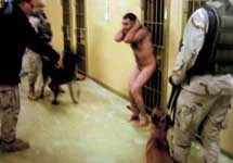 Иракский военнопленный, окруженный американскими солдатами с собаками. Фото АР