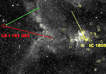 Бинарная система LSI +61 303 сформировалась когда-то в звездном скоплении IC 1805. Изображение NRAO/AUI/NSF с сайта www.nrao.edu