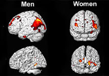 Работа мужского и женского мозга. Изображения с сайта today.uci.edu
