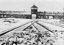 Освенцим. Фото с сайта discovery-experimental.com