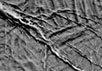 Поверхность спутника Сатурна Энцелада. Фото с сайта saturn.jpl.nasa.gov