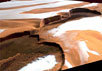 Лед и пыль на марсианинском Северном полюсе. Фото с сайта ESA