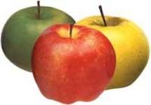 Три яблока. Фото с сайта cookbook.rin.ru