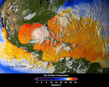 Карта морских поверхностных температур на 25-27 августа, составленная по данным прибора AMSR-E, установленного на спутнике NASA Aqua. Области, закрашенные желтым, оранжевым и красным цветом, соответствуют температуре 28 градусов Цельсия или выше - этого достаточно для усиления урагана. Изображение NASA/SVS с сайта New Scientist