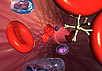 Нанокапсулы, введённые в кровь, перемещаются по организму человека в поисках больных клеток. (Иллюстрация NASA)