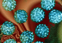 Создана вакцина против рака шейки матки. Фото с сайта www.nature.com