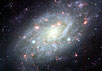 Спиральная галактика NGC 2403. Фото с сайта Subaru Telescope