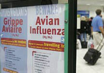Предупреждентие об опасности птичьего гриппа. Кадр ВВС