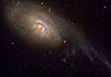 Член Квартета Роберта - семейства, состоящего из четырех очень разных галактик, расположенных на расстоянии приблизительно 160 миллионов световых лет от нас в центре южного созвездия Феникса. Фото ESO
