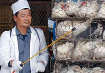 Птичий грипп в Китае. Дезинфекция. Фото с сайта YahooNews