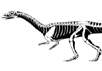 Effigia okeeffeae - предок крокодилов, который жил во времена динозавров. Иллюстрация Стерлинга Несбитта из Американского музея естествознания (с сайта news.nationalgeographic.com)