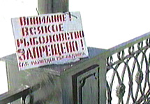 Надпись, запрещающая лов рыбы в Амуре, Хабаровск. Кадр НТВ