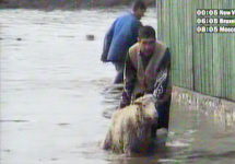 Наводнение в Румынии. Кадр  EuroNews