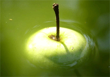 Зеленое яблоко. Фото с сайта club.foto.ua