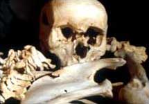 Изучение черепов каменного века. Фото BBC News