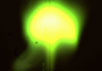 Получение шаровой молнии в лаборатории. Фото Max-Planck-Institut f&uuml;r Plasmaphysik с сайта New Scientist