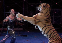 Артур Багдасаров с тигром. Фото с сайта артиста
