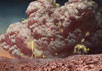 Так художник представляет себе электростатическую бурю на Марсе. Изображение NASA с сайта www.berkeley.edu