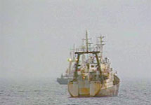 Корабли в Охотском море. Кадр НТВ (архив)