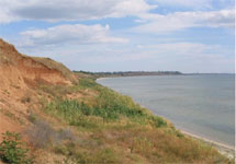 Азовское море. Фото с сайта berdyansk.org.ua