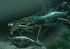 Морская рептилия длиной 10 метров, получившая прозвище "the Monster", поймала плезиозавра меньших размеров. Фантазия художника. Иллюстрация Tor Sponga, Natural History Museum, University of Oslo, Norway (с сайта National Geographic News)