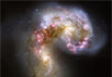 Сталкивающиеся галактики NGC 4038-4039 (Антенны). Фото B.Whitmore/NASA/ESA/Hubble Heritage Team/STScI/AURA/ESA-Hubble с сайта hubblesite.org