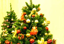 Рождественская елка. Фото с сайта findfoto.ru