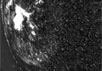 Расширяющаяся взрывная волна проявляется как широкое яркое кольцо, окружающее пятнистую вспышку, зародившуюся возле левого края солнечного диска. Фото NSO/AURA/NSF/USAF Research Laboratory с сайта New Scientist