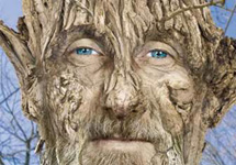 Человек-дерево. Фото с сайта photoshop.demiart.ru