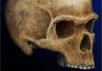 Подобие южноафриканского черепа европейским позволяет заключить, что первые люди прибыли в Европу относительно поздно. Фото Luci Betti-Nash с сайта New Scientist