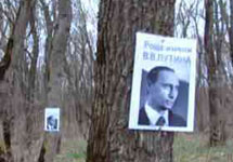 Портреты Путина на деревьях. Фото "Известий"