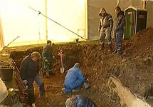 Раскопки братской могилы на холме Тынисмяги. Кадр НТВ