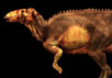 Реконструкция внешности Дакоты, полученная по данным компьютерной томографии. Изображение Julius T. Csotonyi/National Geographic